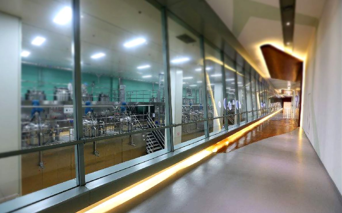 3900 metros cuadrados de suelo de vinilo homogéneo Julio de 2025 Planta de producción de alimentos en Jiangsu